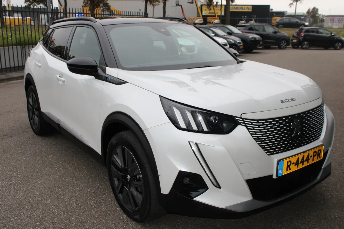 EV GT Pack 50 kWh | Fase 3 laden | SOH 93,38% | Panorama/schuifdak | Stoelverwarming | Navigatie | Camera | NL auto |