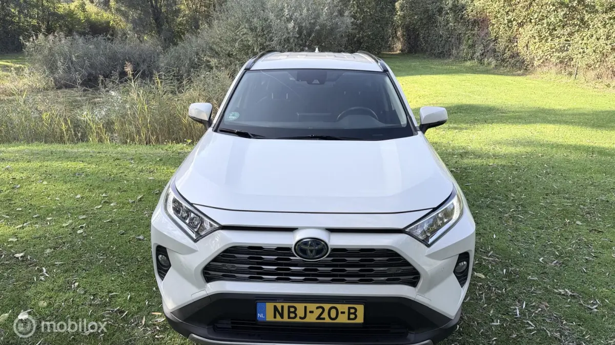 Hybrid Automaat met een beetje Diefstalschade