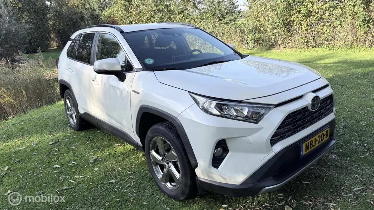 Hybrid Automaat met een beetje Diefstalschade