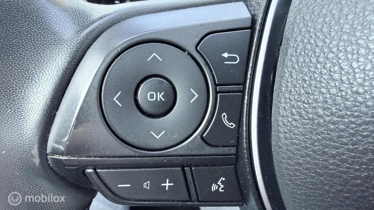 Hybrid Automaat met een beetje Diefstalschade