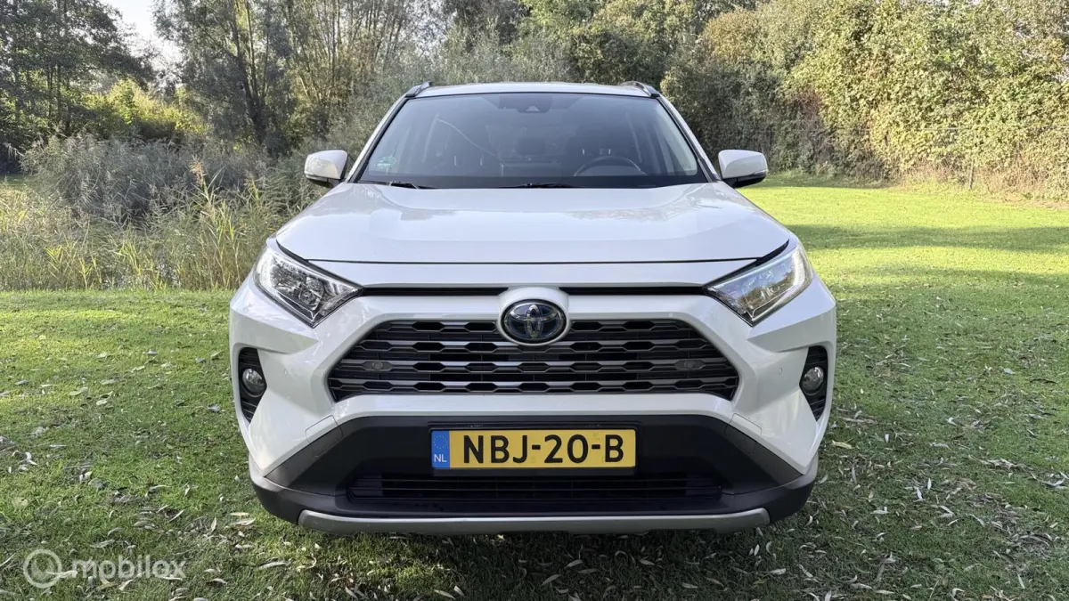 Hybrid Automaat met een beetje Diefstalschade