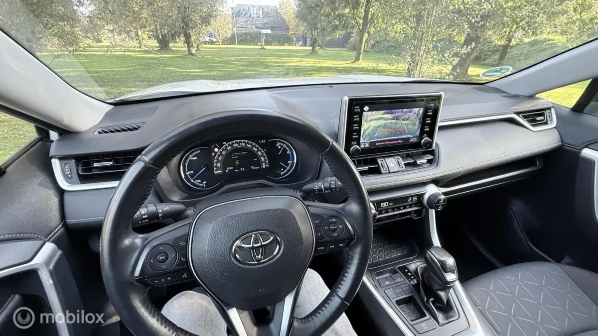 Hybrid Automaat met een beetje Diefstalschade