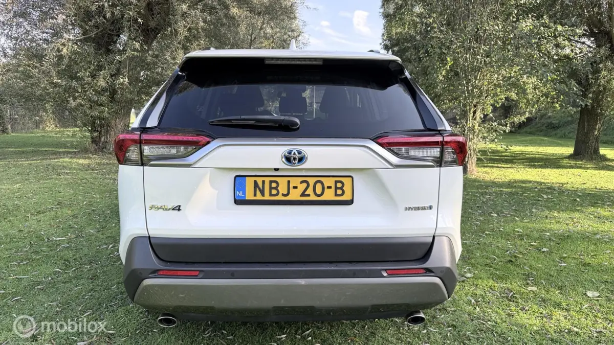 Hybrid Automaat met een beetje Diefstalschade