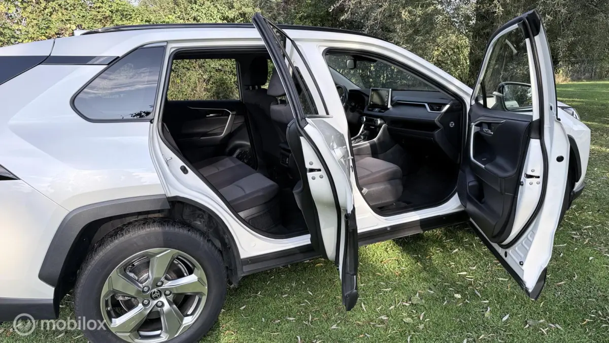 Hybrid Automaat met een beetje Diefstalschade