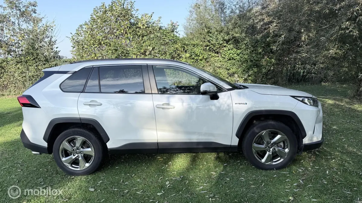 Hybrid Automaat met een beetje Diefstalschade