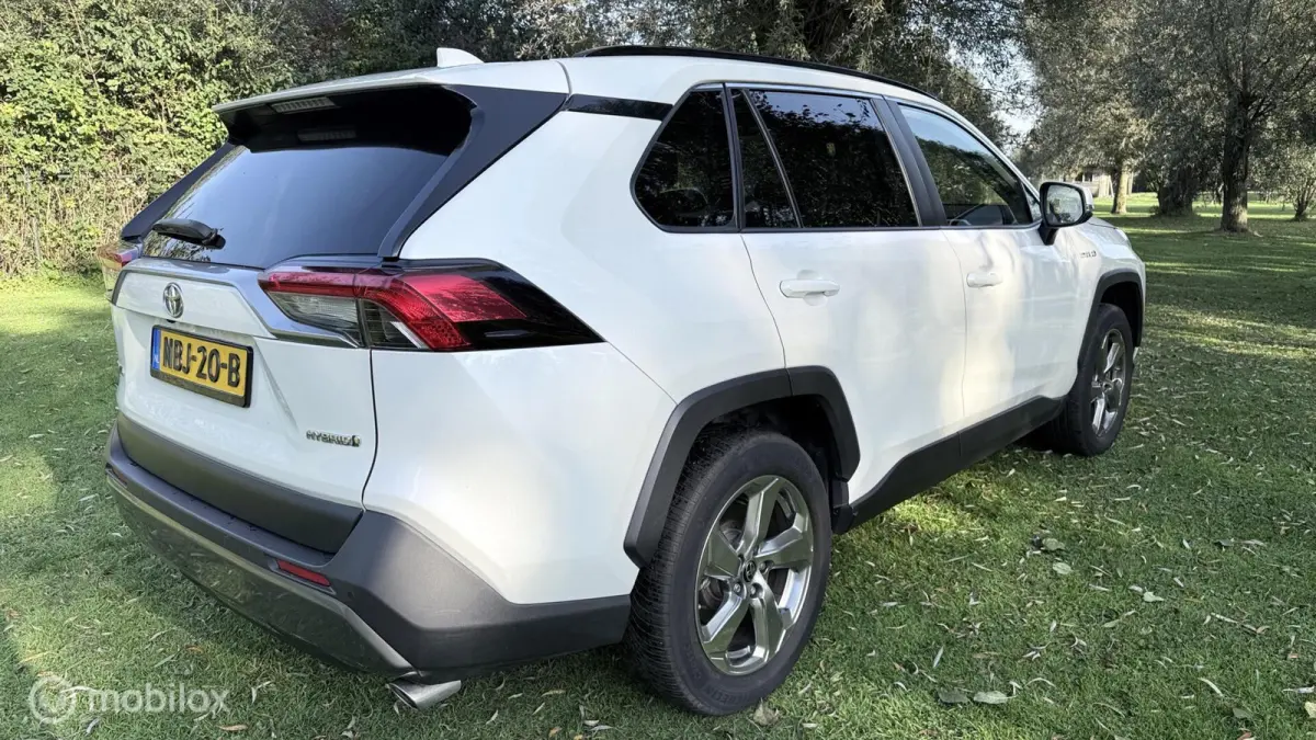 Hybrid Automaat met een beetje Diefstalschade