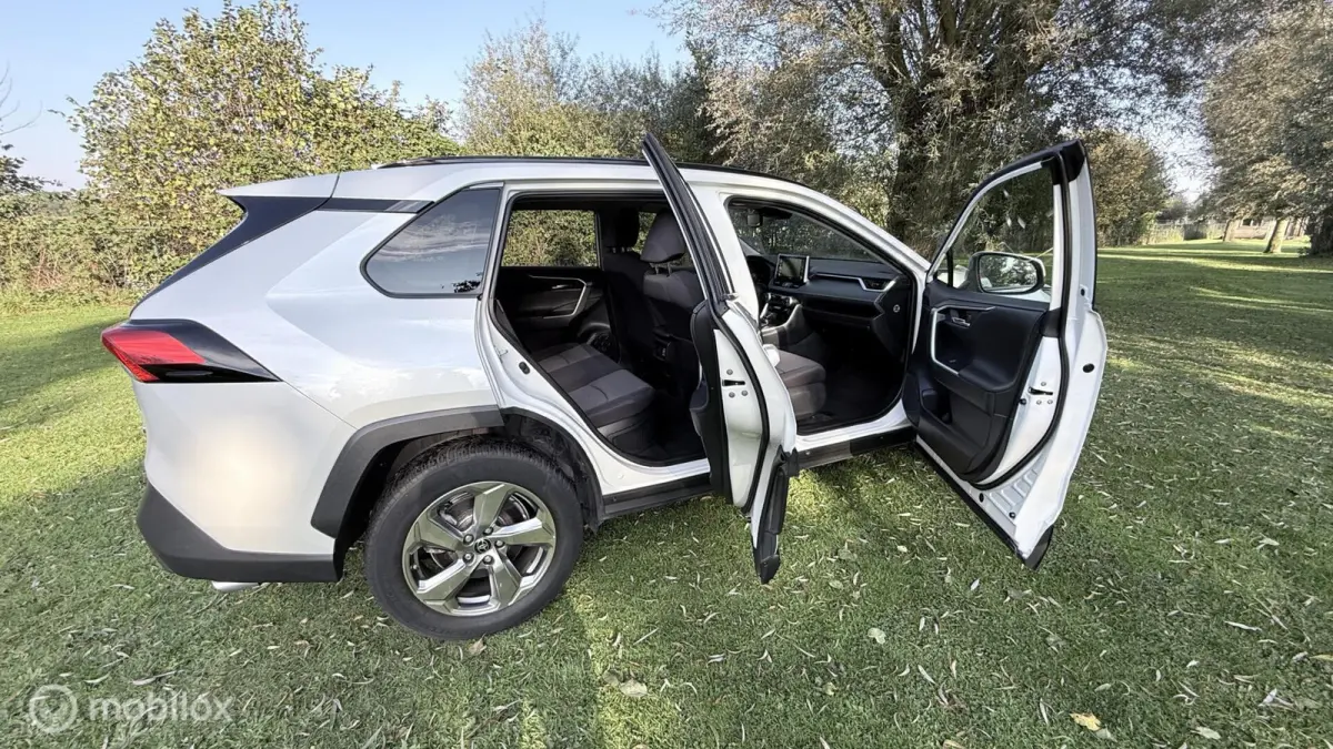 Hybrid Automaat met een beetje Diefstalschade