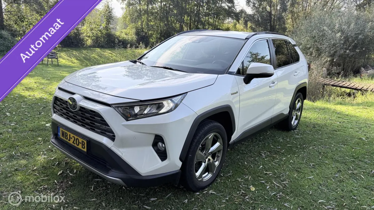 Hybrid Automaat met een beetje Diefstalschade