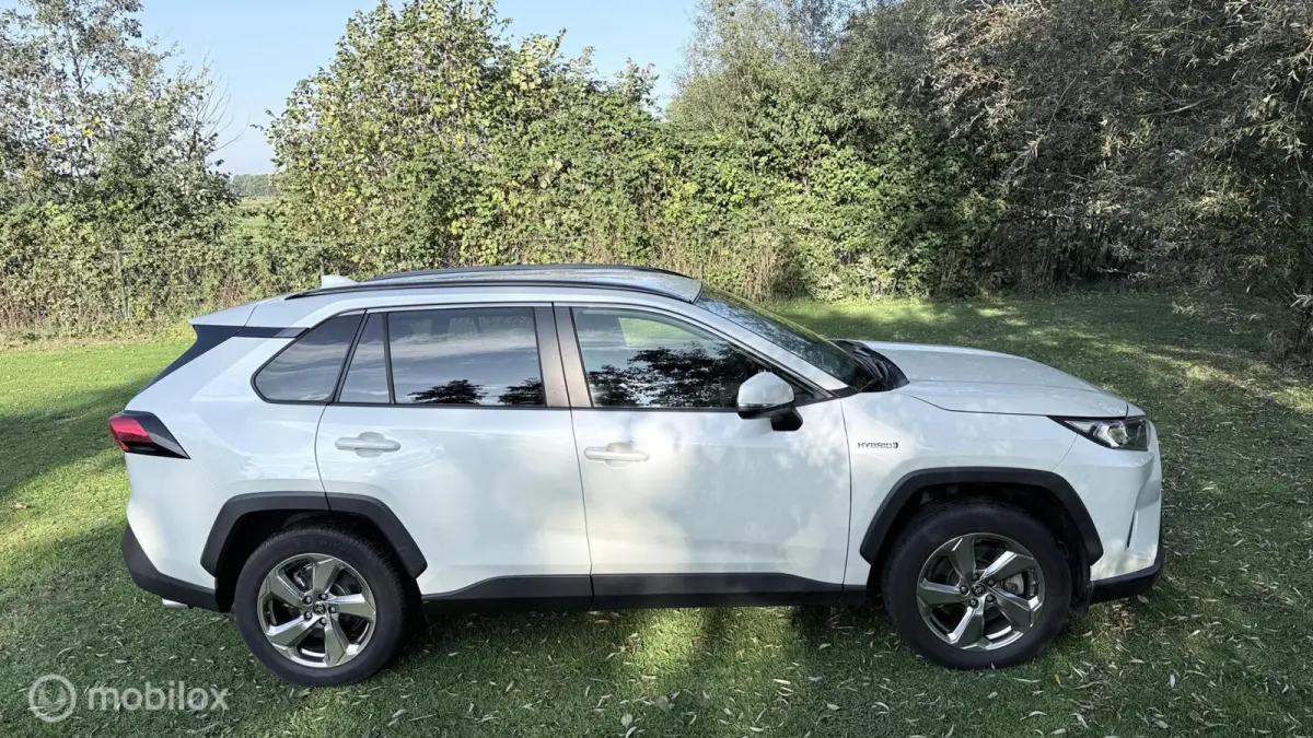 Hybrid Automaat met een beetje Diefstalschade