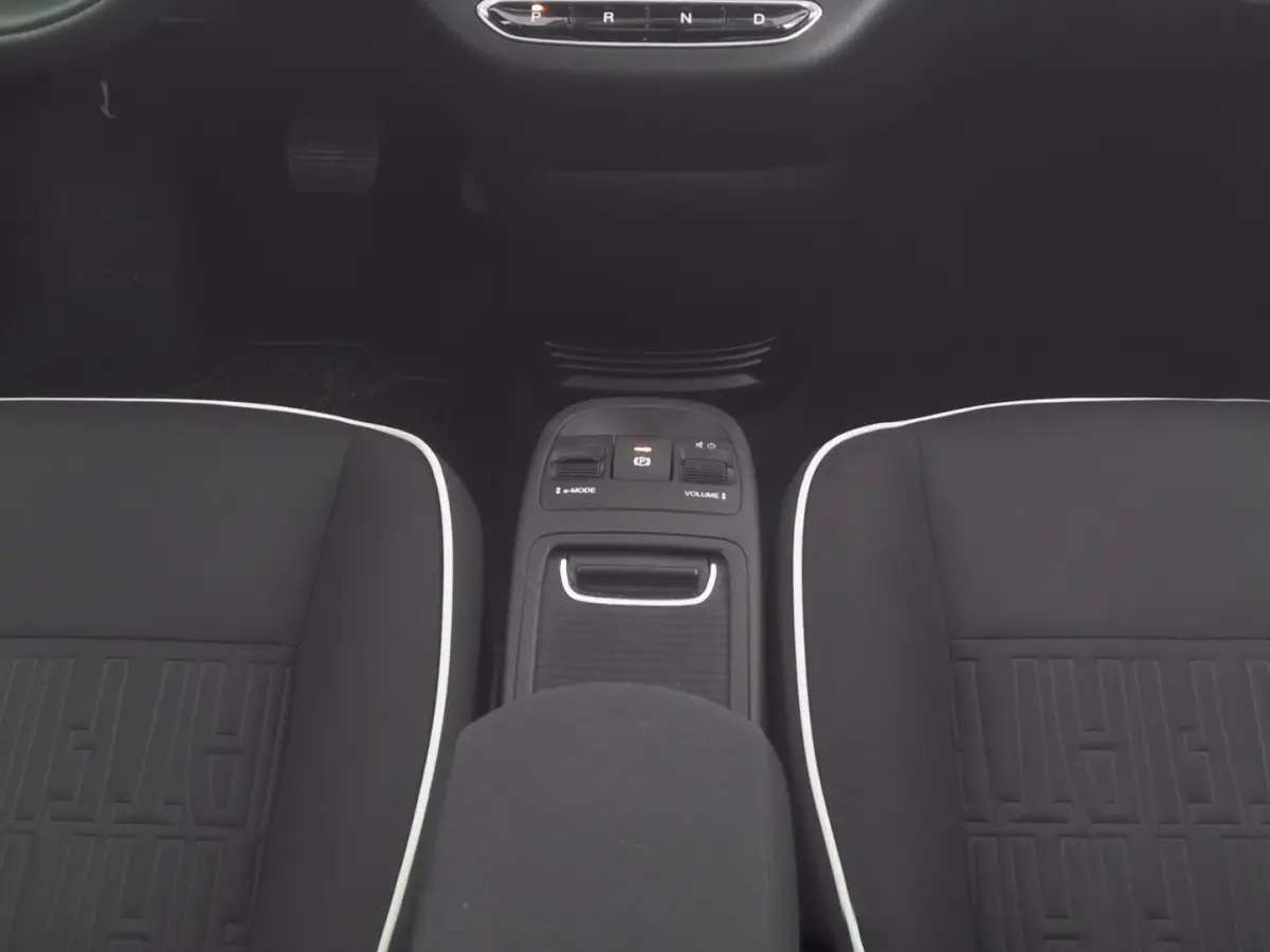 Urban Plus 42kWh | CAMERA | STOELVERW. | CARPLAY | SOH: 100% | !