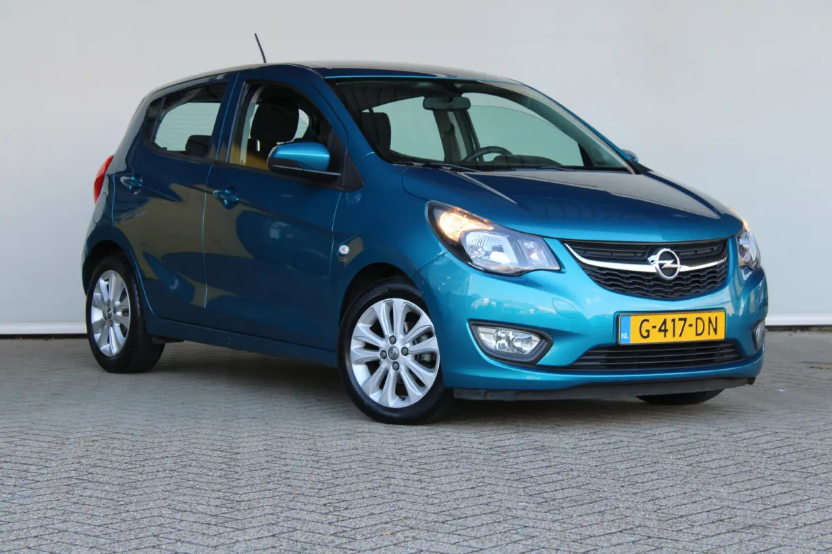 1.0 ecoFLEX 120 Jaar Edition | Parkeersensoren achter | 15'' lichtmetaal | Mistlampen | DAB |
