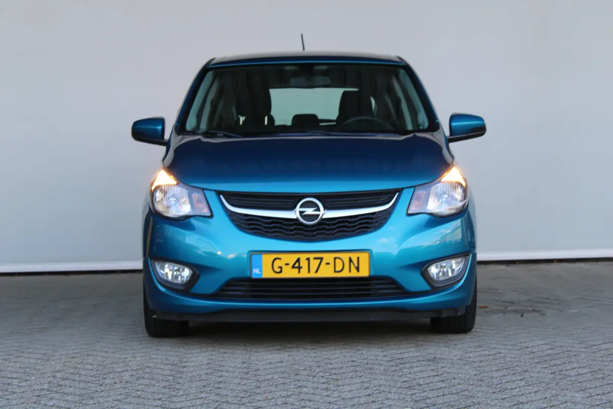 1.0 ecoFLEX 120 Jaar Edition | Parkeersensoren achter | 15'' lichtmetaal | Mistlampen | DAB |