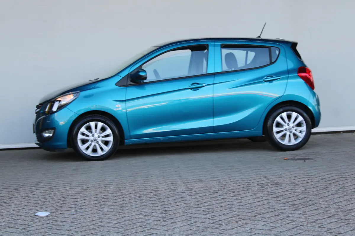 1.0 ecoFLEX 120 Jaar Edition | Parkeersensoren achter | 15'' lichtmetaal | Mistlampen | DAB |