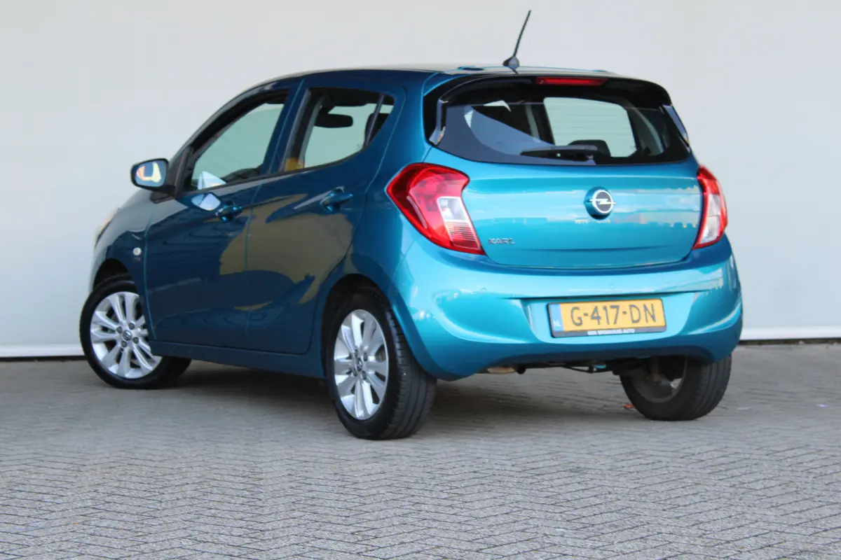 1.0 ecoFLEX 120 Jaar Edition | Parkeersensoren achter | 15'' lichtmetaal | Mistlampen | DAB |