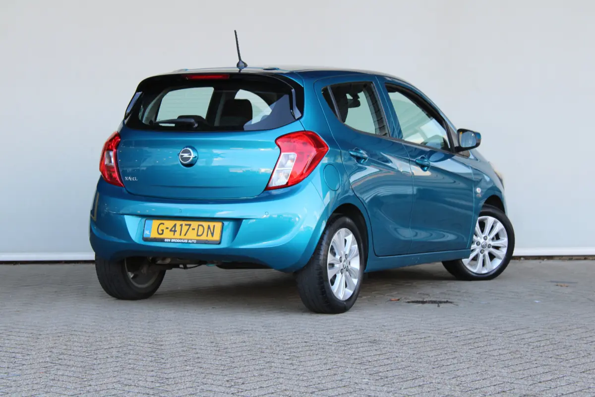 1.0 ecoFLEX 120 Jaar Edition | Parkeersensoren achter | 15'' lichtmetaal | Mistlampen | DAB |