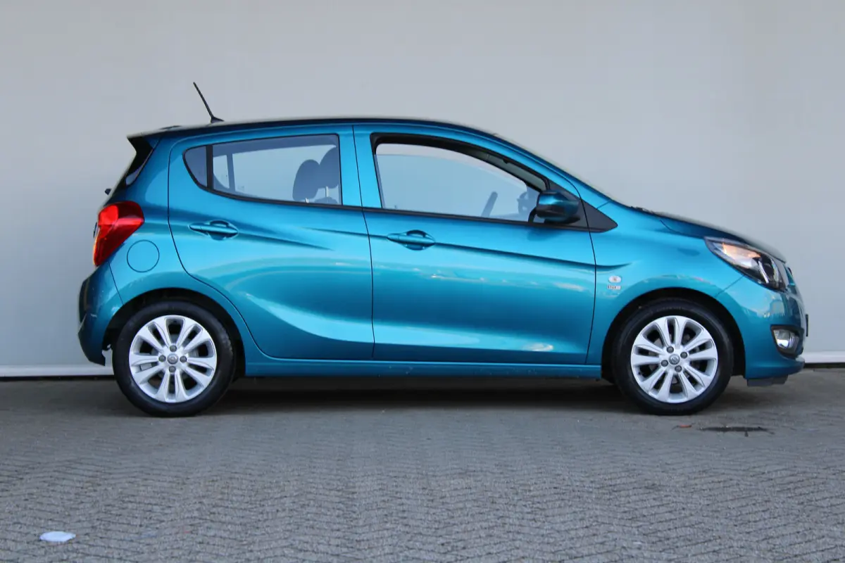 1.0 ecoFLEX 120 Jaar Edition | Parkeersensoren achter | 15'' lichtmetaal | Mistlampen | DAB |