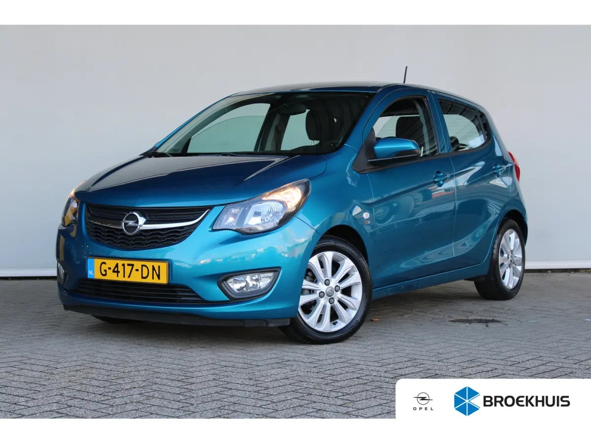 1.0 ecoFLEX 120 Jaar Edition | Parkeersensoren achter | 15'' lichtmetaal | Mistlampen | DAB |
