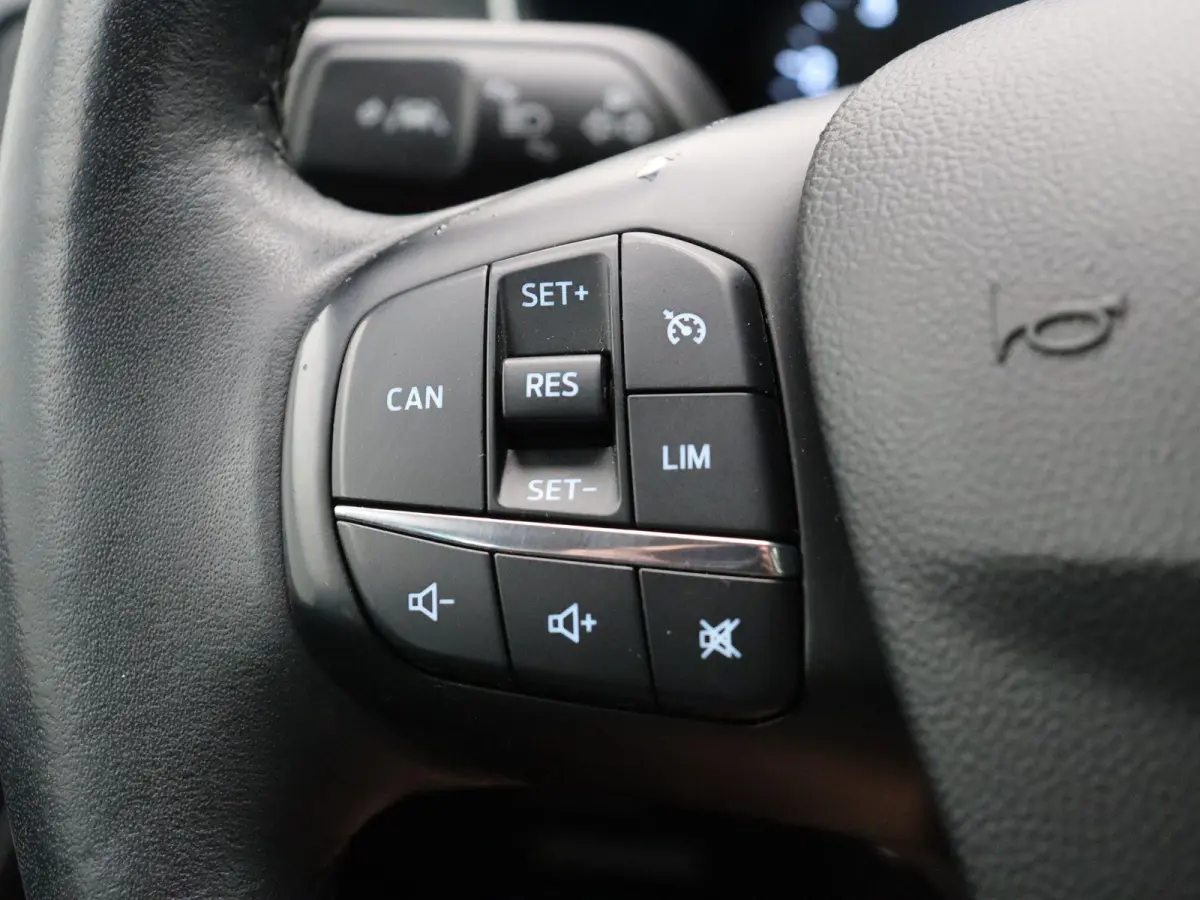 1.0 EcoBoost Trend Edition Business | Trekhaak | Climate Control | Stuurverwarming | Stoelverwarming | Voorruitverwarming |