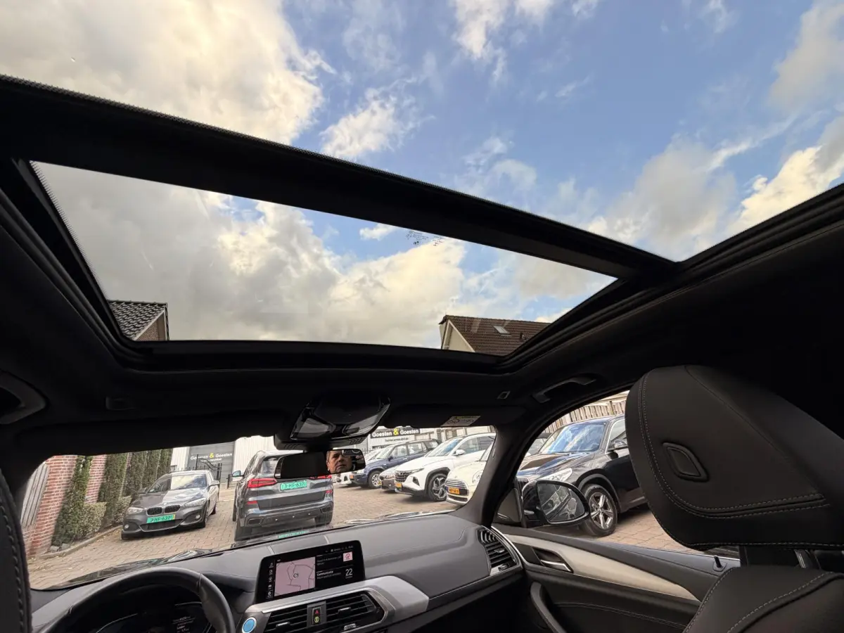 High Executive 80 kWh Org NL Pano|TrekHaak