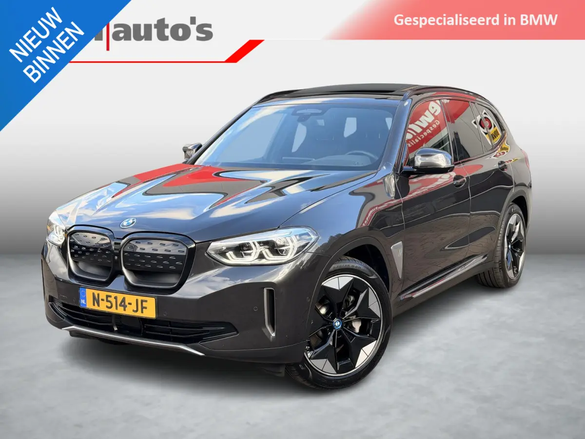 High Executive 80 kWh Org NL Pano|TrekHaak