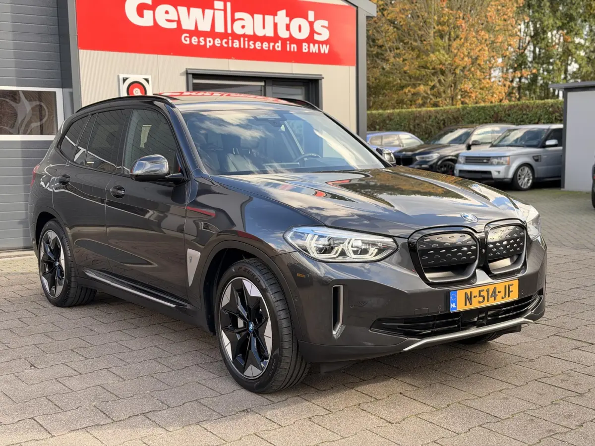 High Executive 80 kWh Org NL Pano|TrekHaak