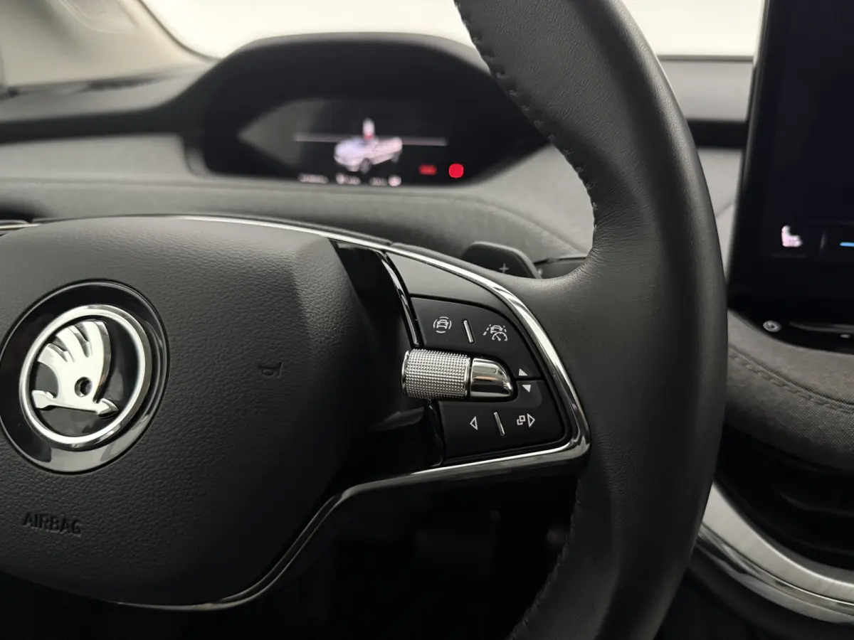 80 82kWh 204PK | Sfeer | Virtual | Camera | Cruise | Carplay | SOH 92% | Trekhaak | Winterpack