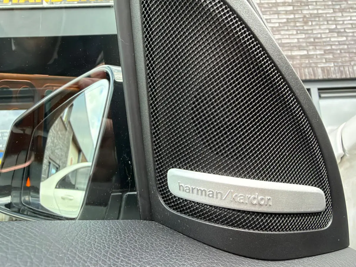 AMG 45 4MATIC | LED | SFEER | CARPLAY | AMG | CAMERA | CRUISE | H&K |