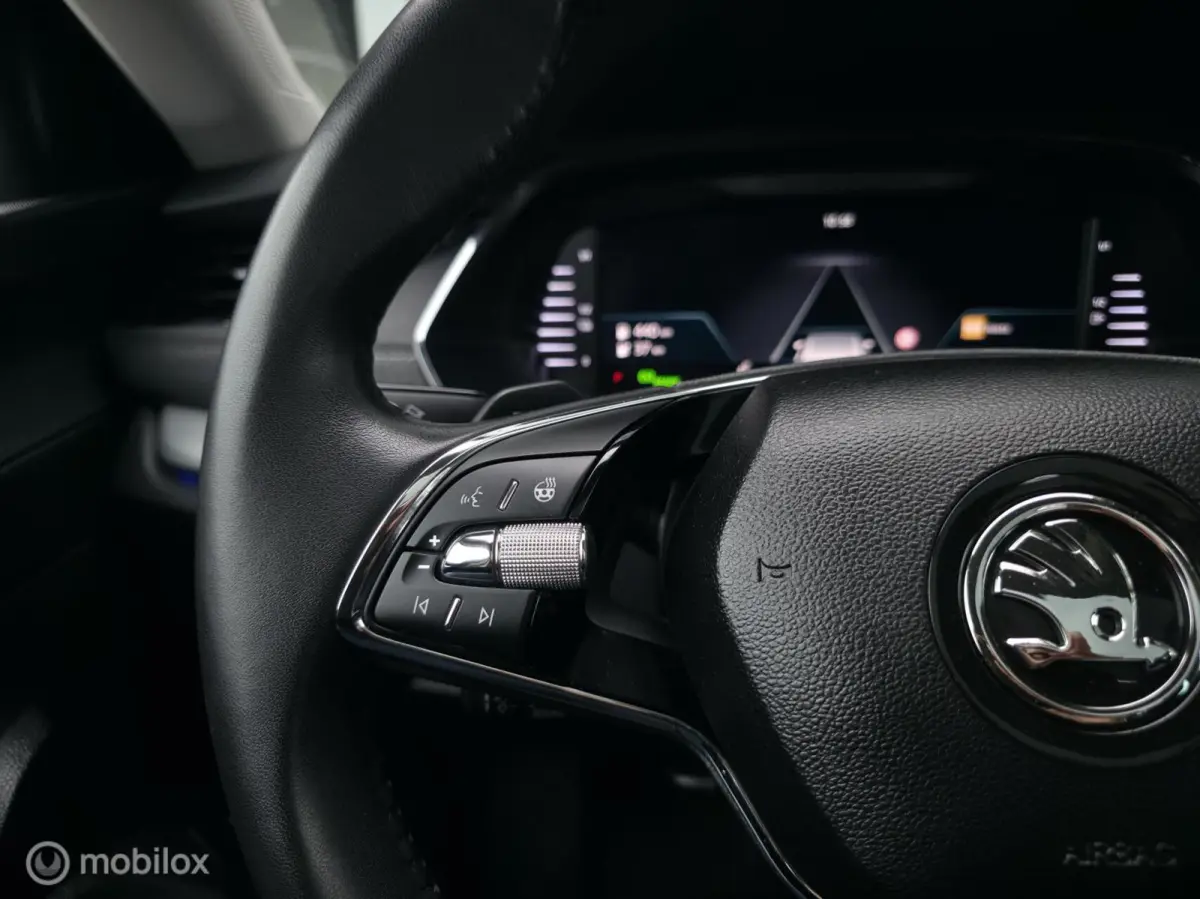 1.4 TSI iV PHEV / Pano / El. Trekhaak