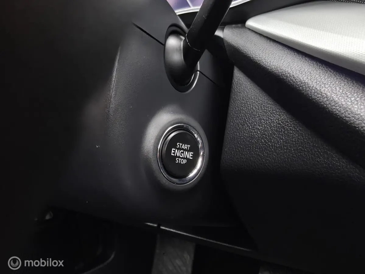 1.4 TSI iV PHEV / Pano / El. Trekhaak