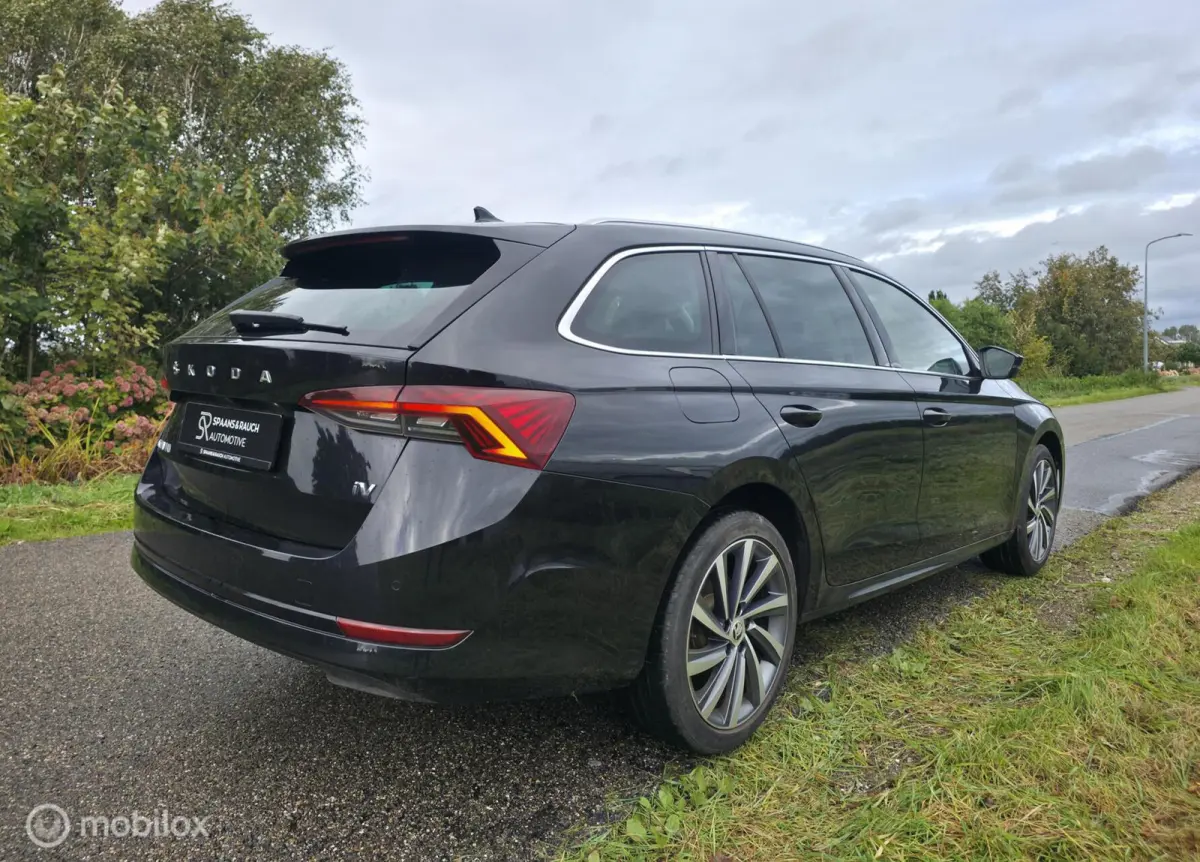 1.4 TSI iV PHEV / Pano / El. Trekhaak