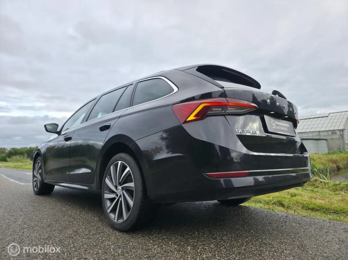 1.4 TSI iV PHEV / Pano / El. Trekhaak