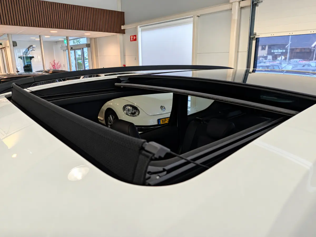 1.5 EcoBoost ST Line Panoramadak, Airco, Cruise Control, Trekhaak, Stuurbekrachtiging