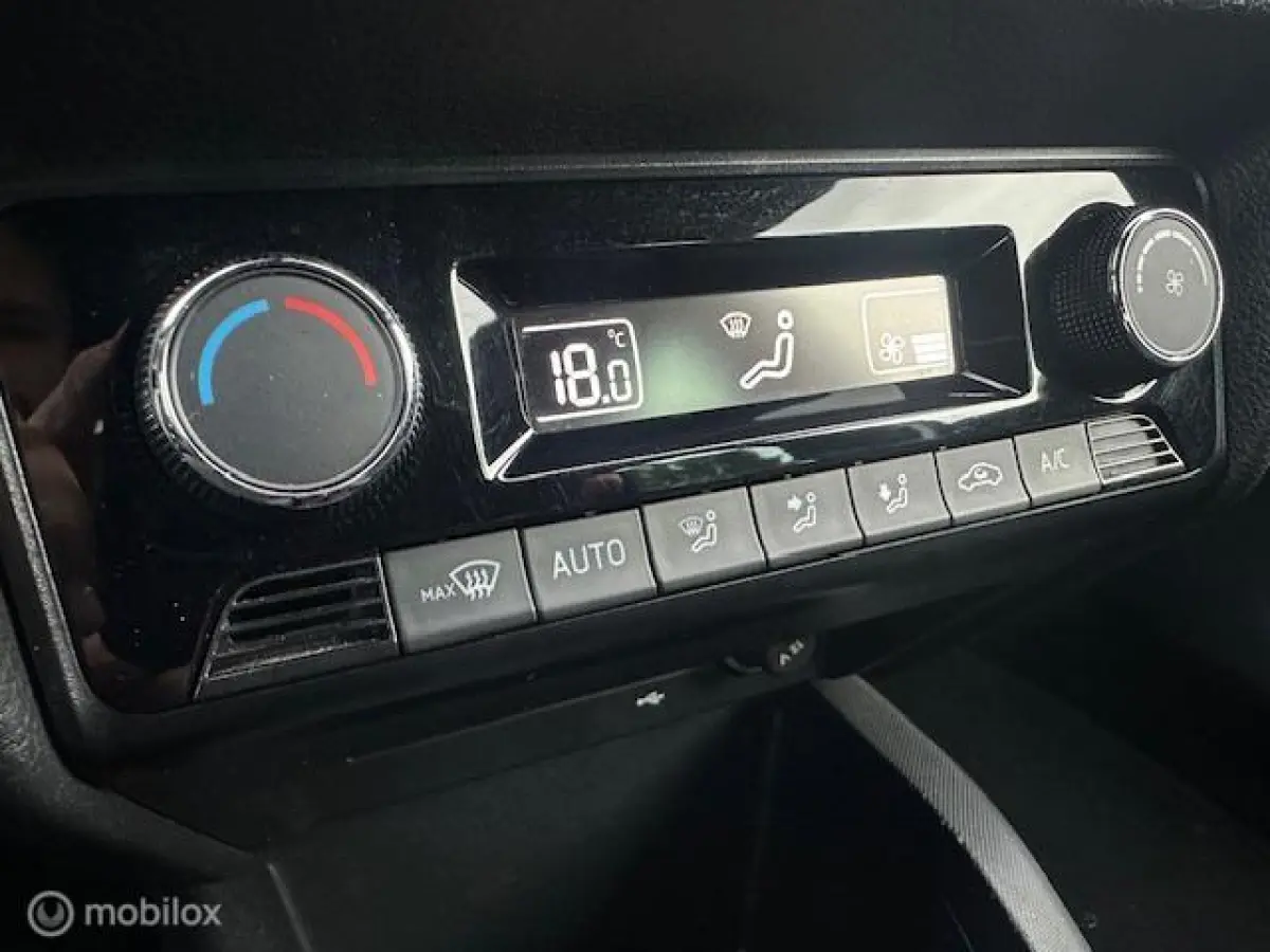 1.0 TSI Monte Carlo