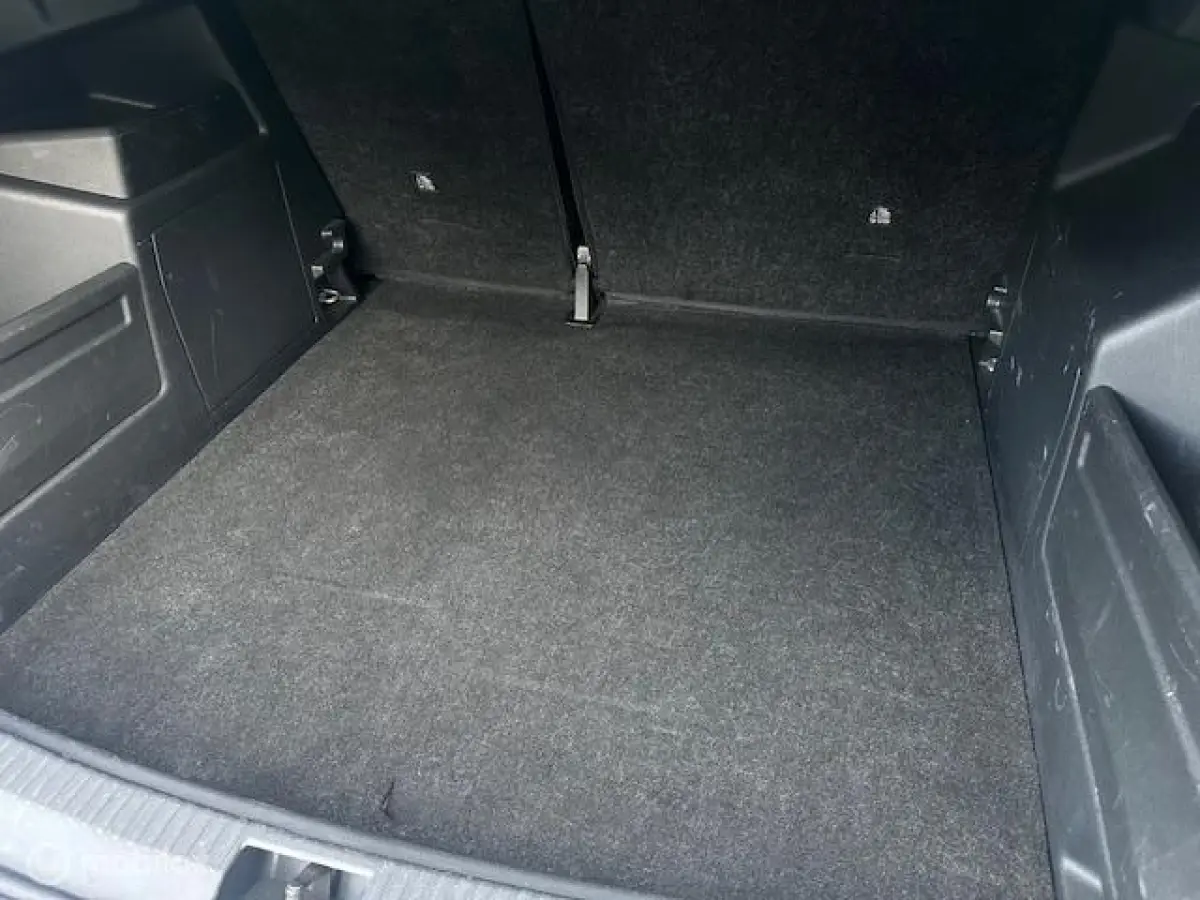 1.0 TSI Monte Carlo