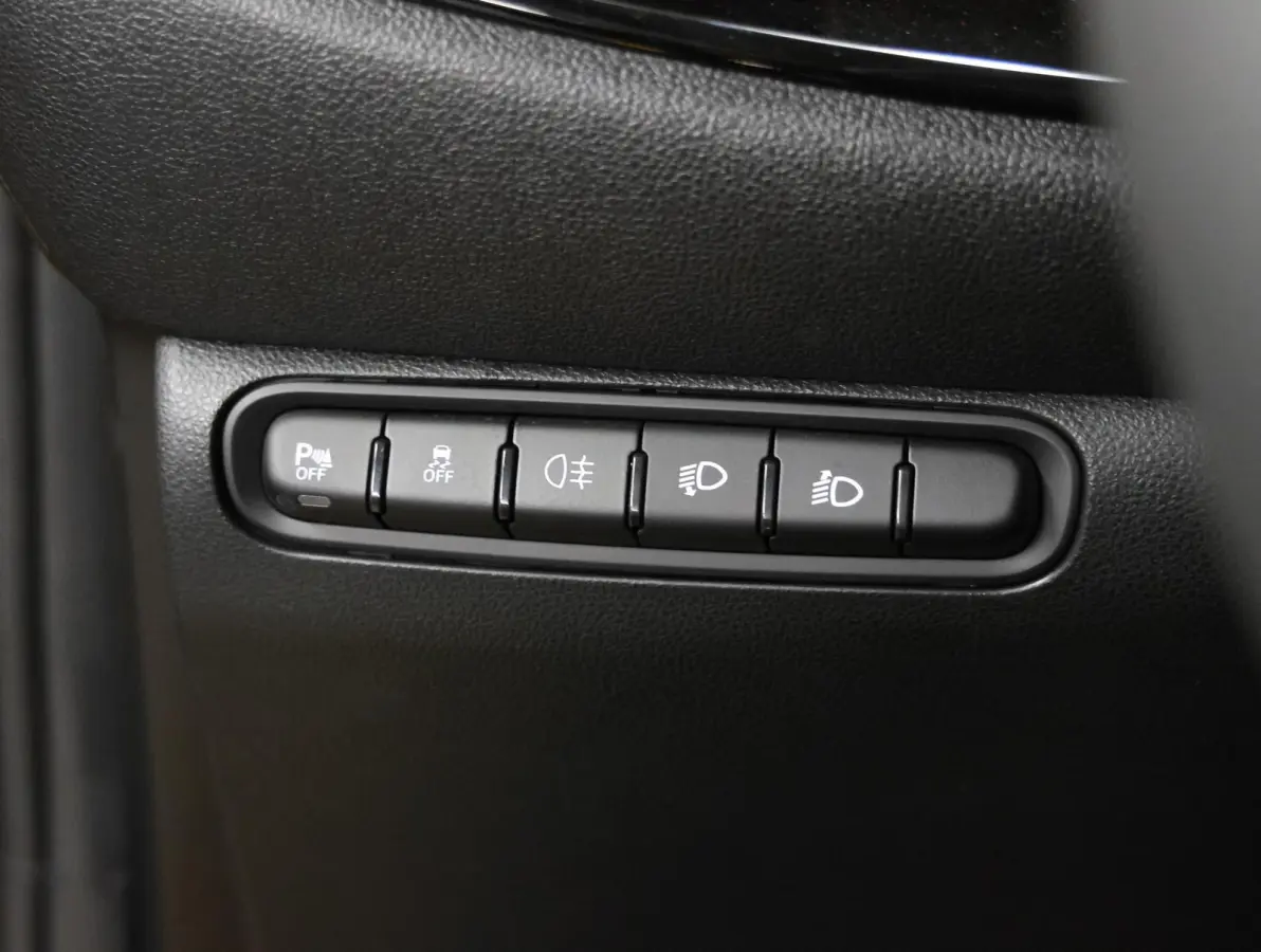 Icon 42 kWh | 8 jaar garantie | Apple CarPlay / Android Auto | Achteruitcamera | Stoelverwarming |