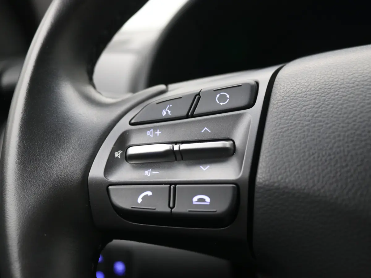 EV Comfort 39 kWh | Achteruitrijcamera | Apple Carplay/Android Auto|telefoonintegratie premium | Bestuurdersstoel in hoogte verstelbaar