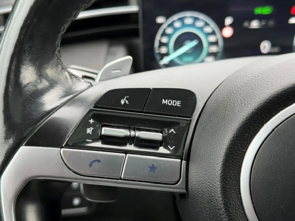 1.6 T-GDI PHEV Premium Sky 4WD Pano LED VOL!!!