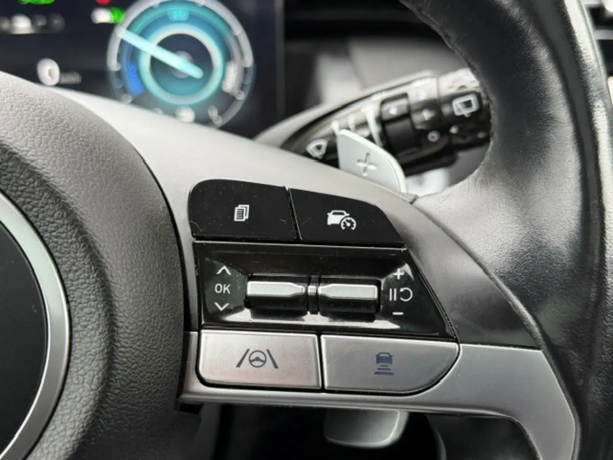 1.6 T-GDI PHEV Premium Sky 4WD Pano LED VOL!!!