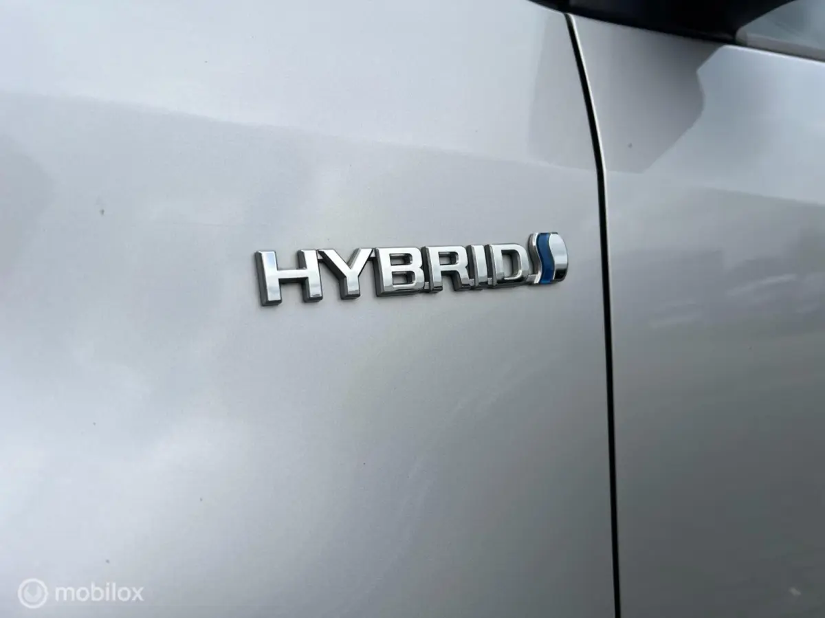 1.5 Hybrid Dynamic