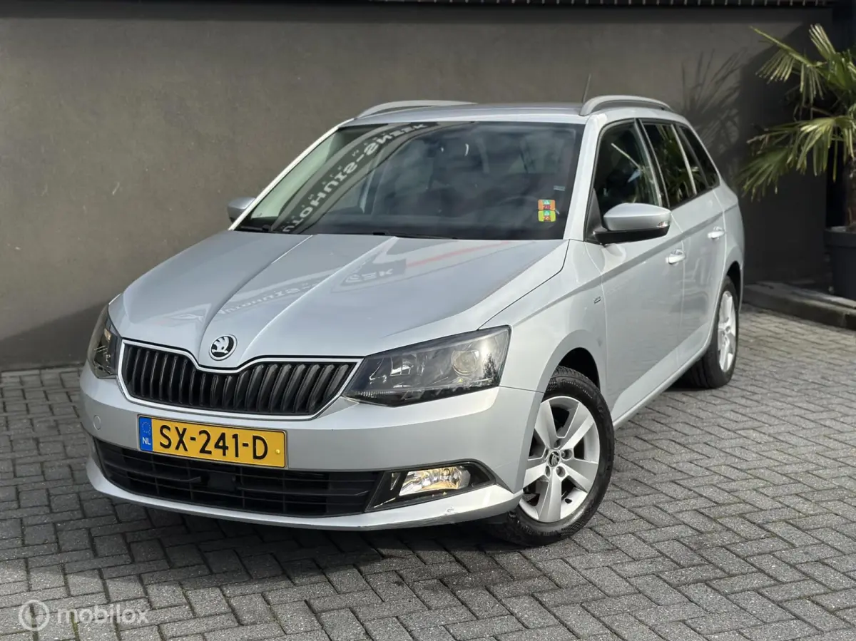 1.0 TSI Clever |1e Eig. |Dealeroh|Trekhaak