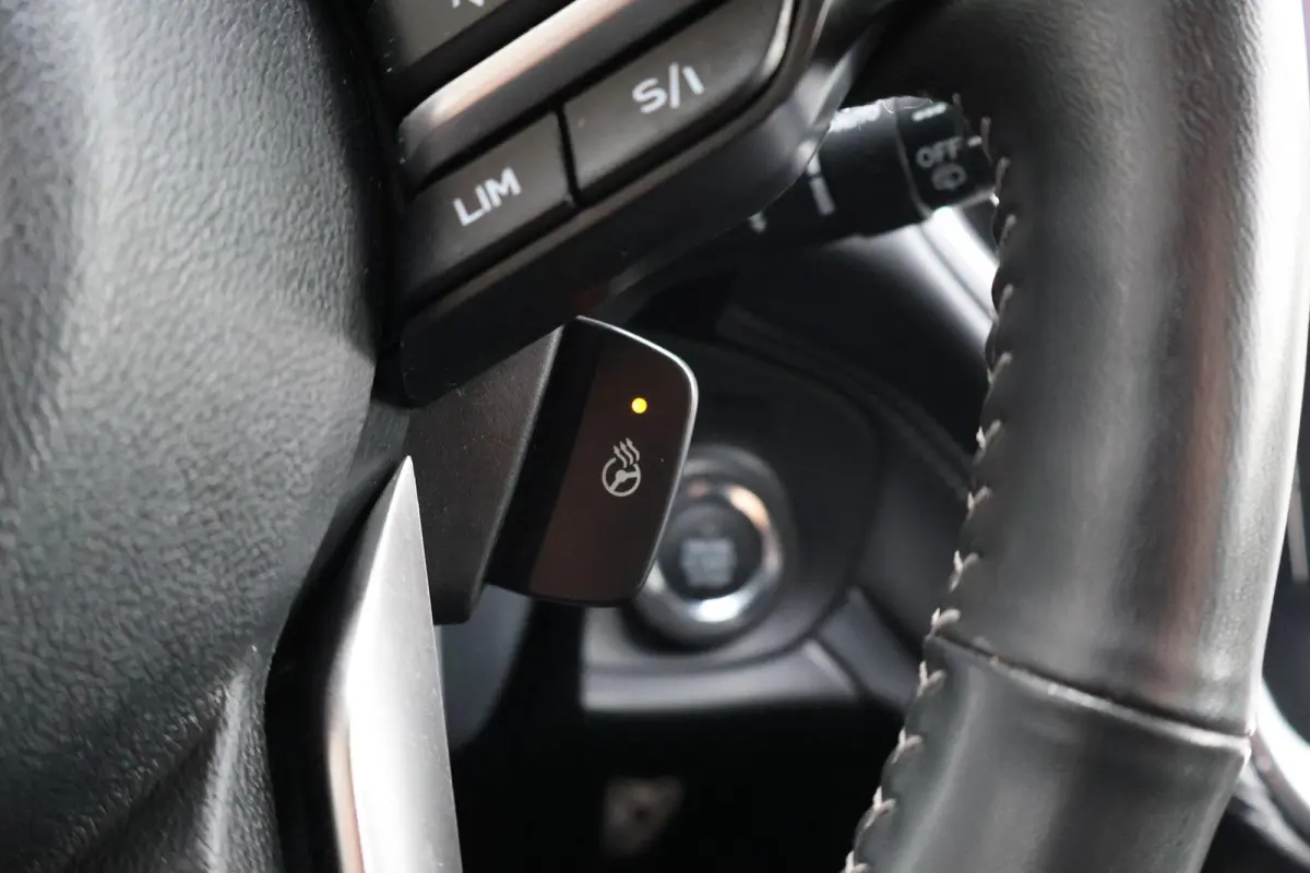 2.5i 169pk AUT Premium | Trekhaak | Leder | 360 Camera | Navigatie | Harman Kardon