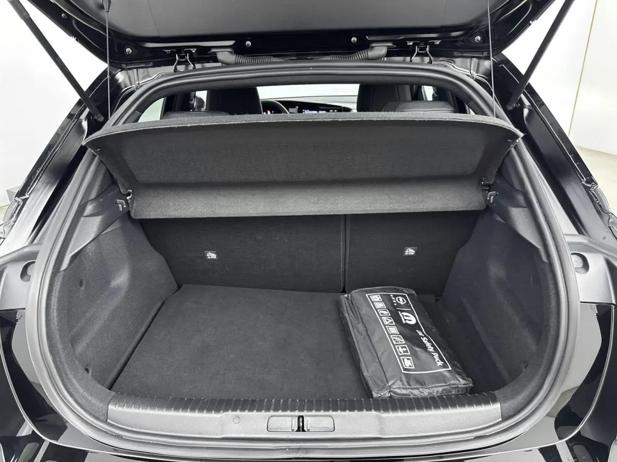 1.2 Turbo Hybrid GS Camera| Stoel stuurverwariming| LM Velgen
