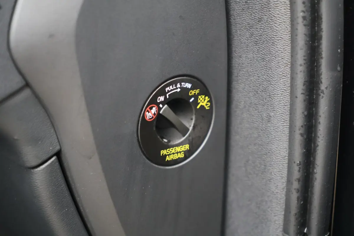 Core 70 kWh | Parkeercamera | SoH 95% | Apple carplay | L.M. Velgen | Keyless
