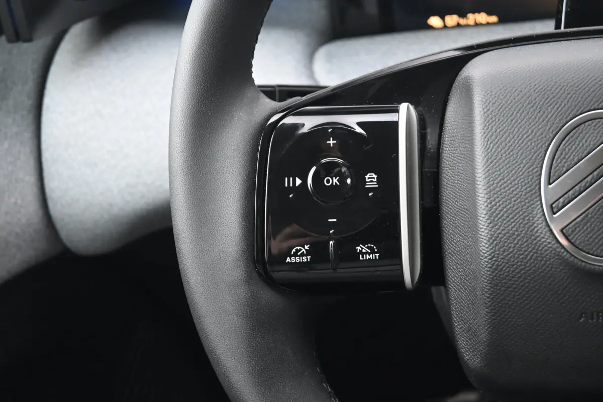 Max Comfort Range 74 kWh 98,7%SOH! | Schuif-/Kanteldak | Leder | Stoel/Stuurverwarming | Massagestoelen | !!