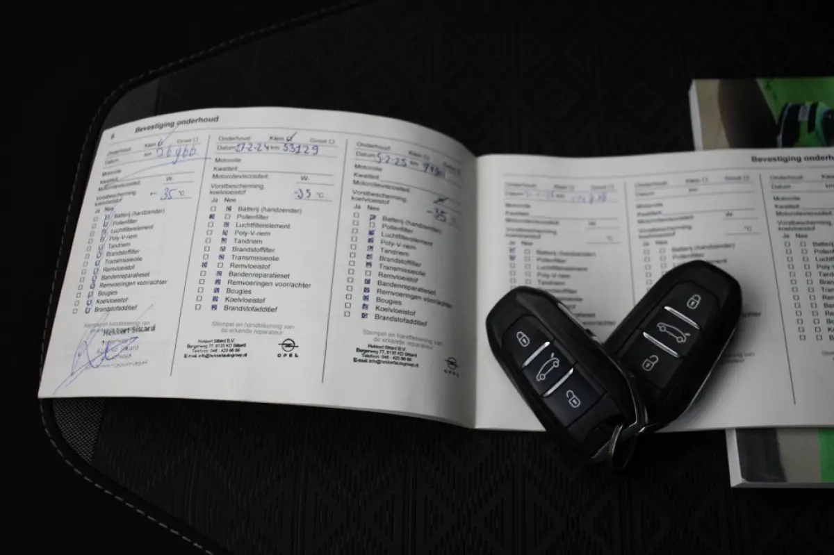 Edition 50-kWh - Carplay, Camera, Cruise, Clima, SOH 90,81%