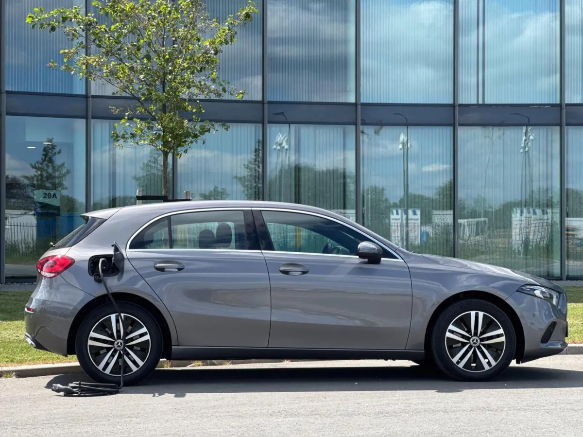 250 e Business Line