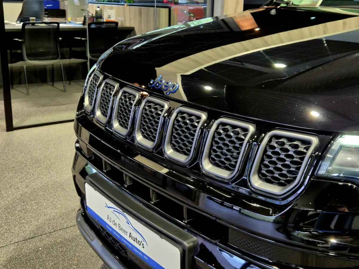 4xe 240 Plug-in Hybrid S Camera | Stoelverwarming | Carplay