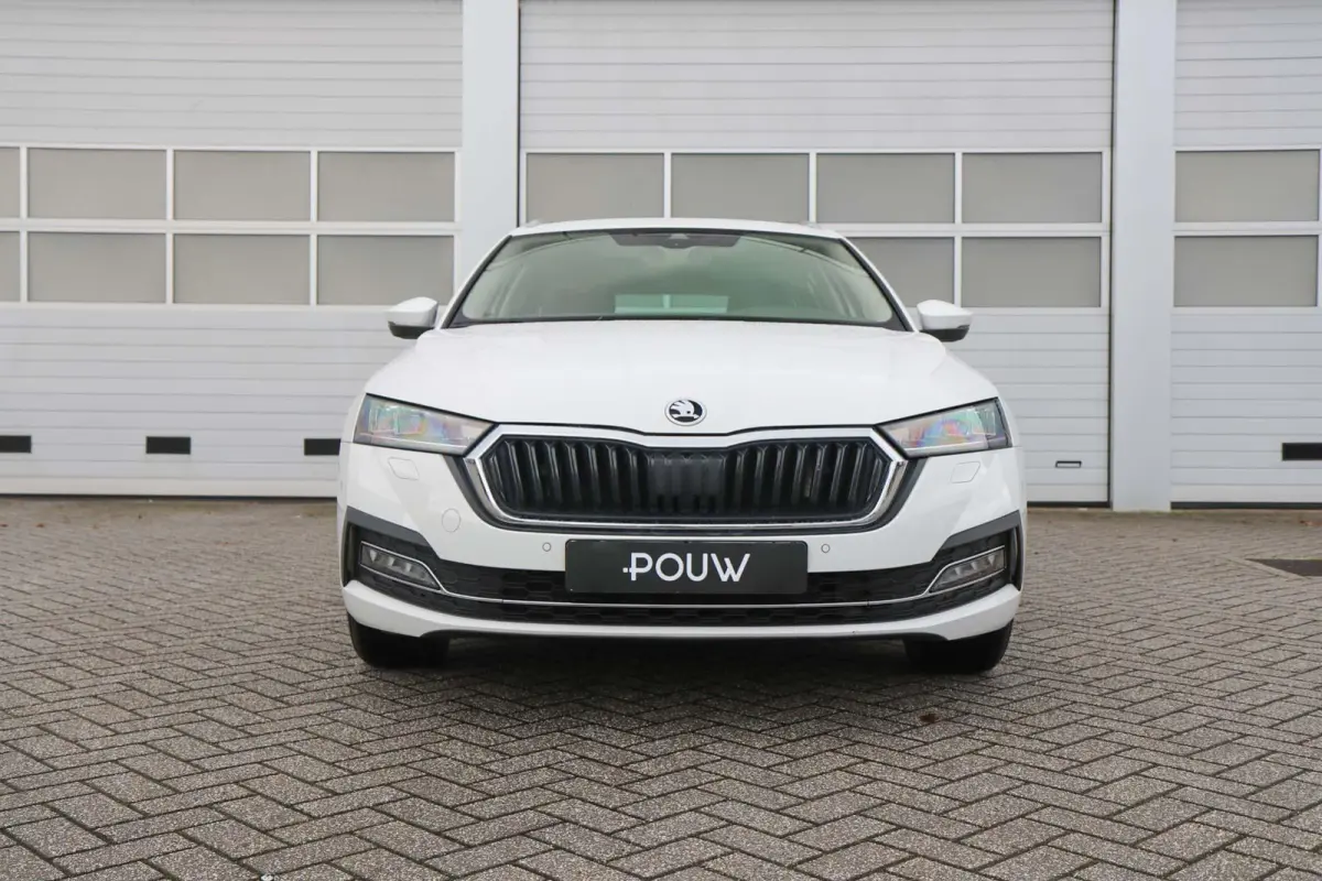 1.0 e-TSI 110pk Business Edition Plus | Cruise Control Adaptief | App Connect | Navigatie | Stoelverwarming
