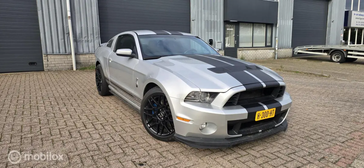 5.0 V8 | 418 PK| Shelby Clone