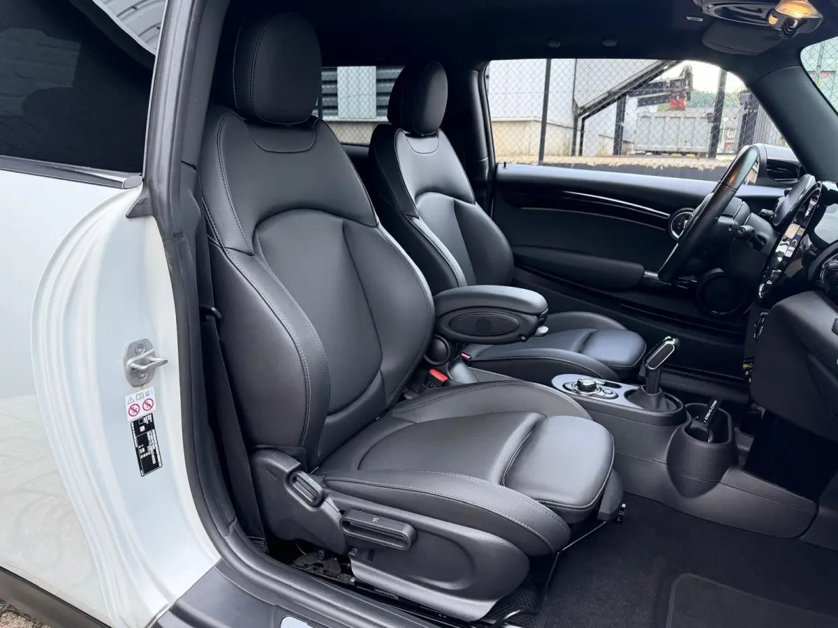 Classic 33 kWh | Keyless | Camera | SOH 95% |